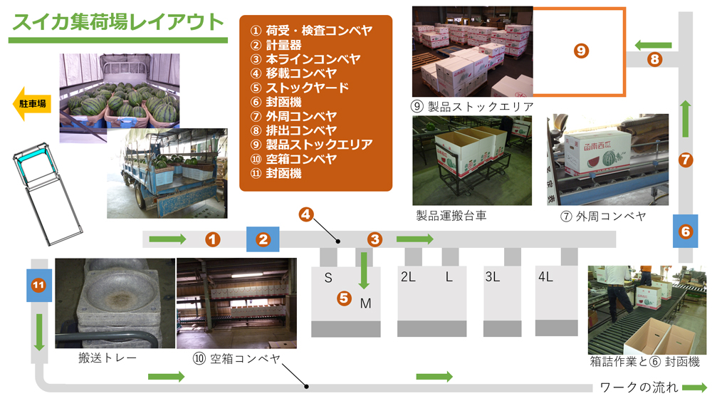 スイカ集荷場レイアウト